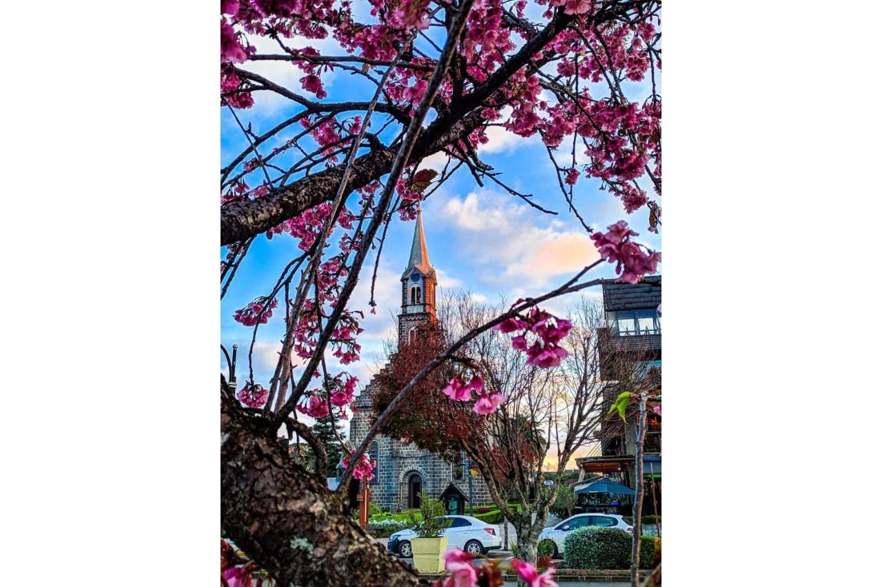 Com Vista Para Catedral - @Stayhousetemporada カネラ エクステリア 写真